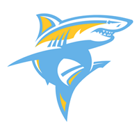 Long Island University Football Camps